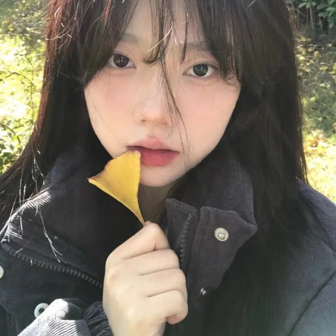 王的命令 第二季